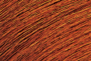 Hair Color - Light Brown Copper 5CC